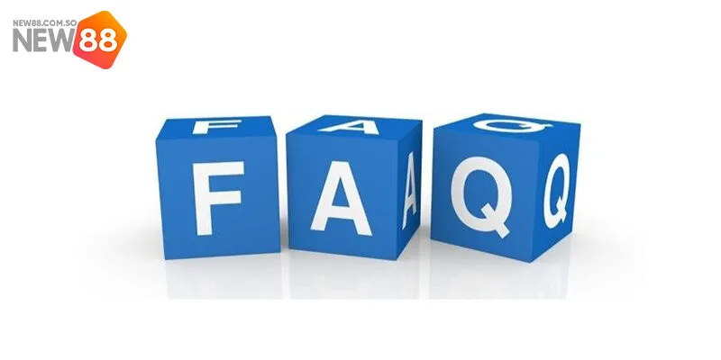 Câu hỏi thường gặp liên quan đến liên hệ New88