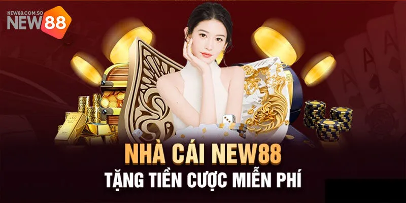 Điều kiện hội viên cần biết để nhận khuyến mãi New88